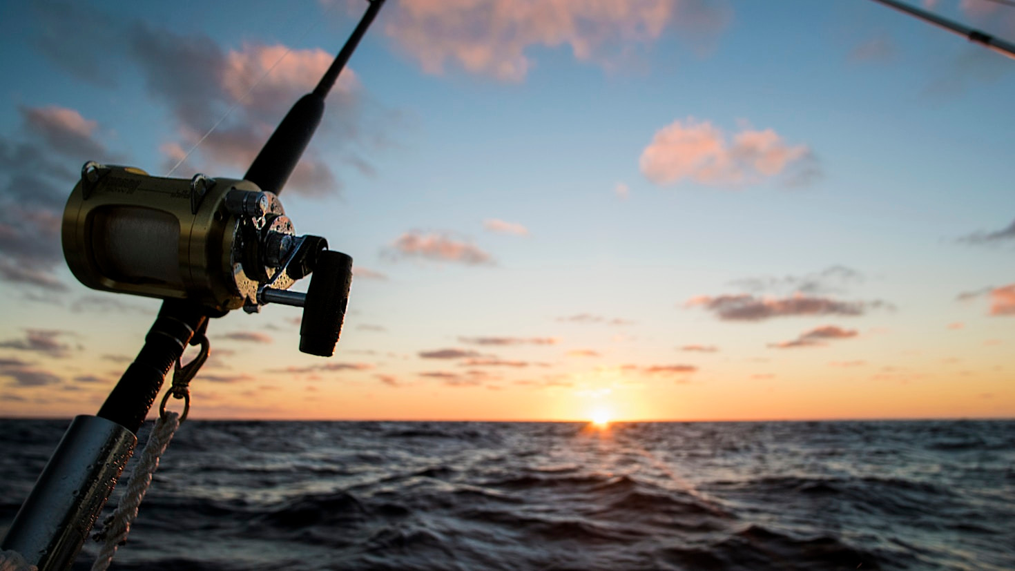 Wie Sie mit der richtigen Technik kapitale Fische landen