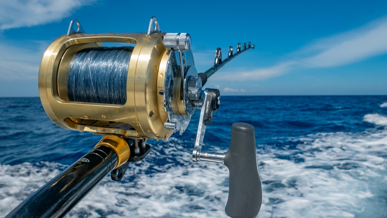 Wie Sie mit der richtigen Technik kapitale Fische landen